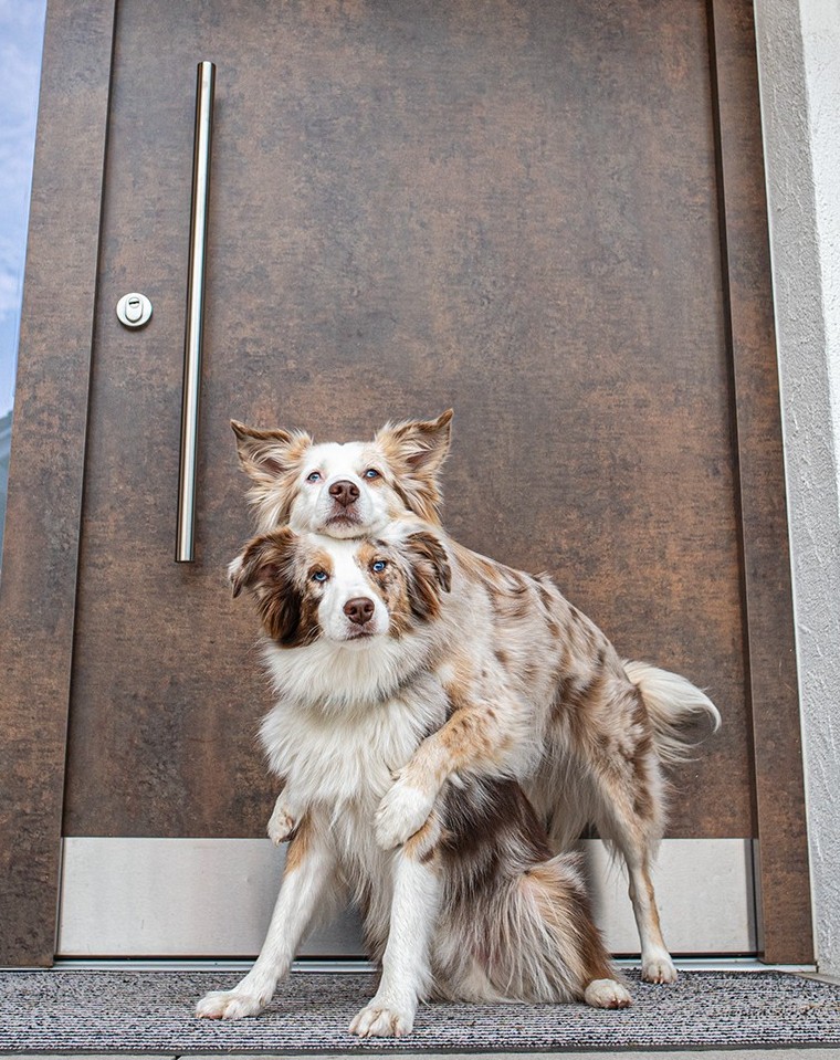 Image hover effect image