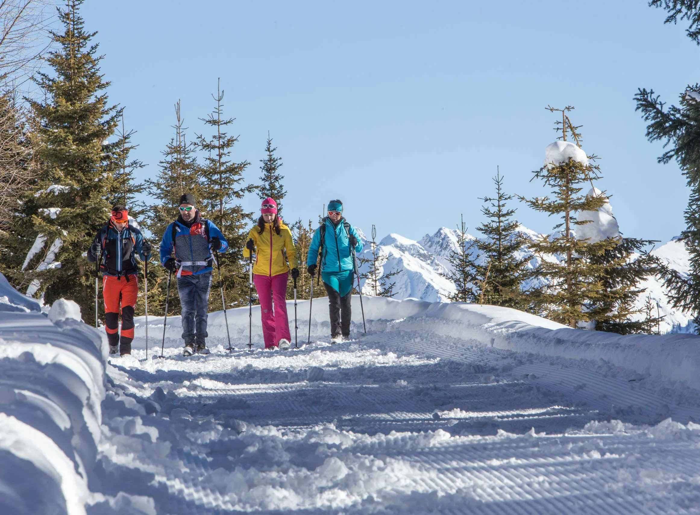 Group of four people snowshoeing on a sunny winter trail with pine trees and snowy dolomites peaks in the background.