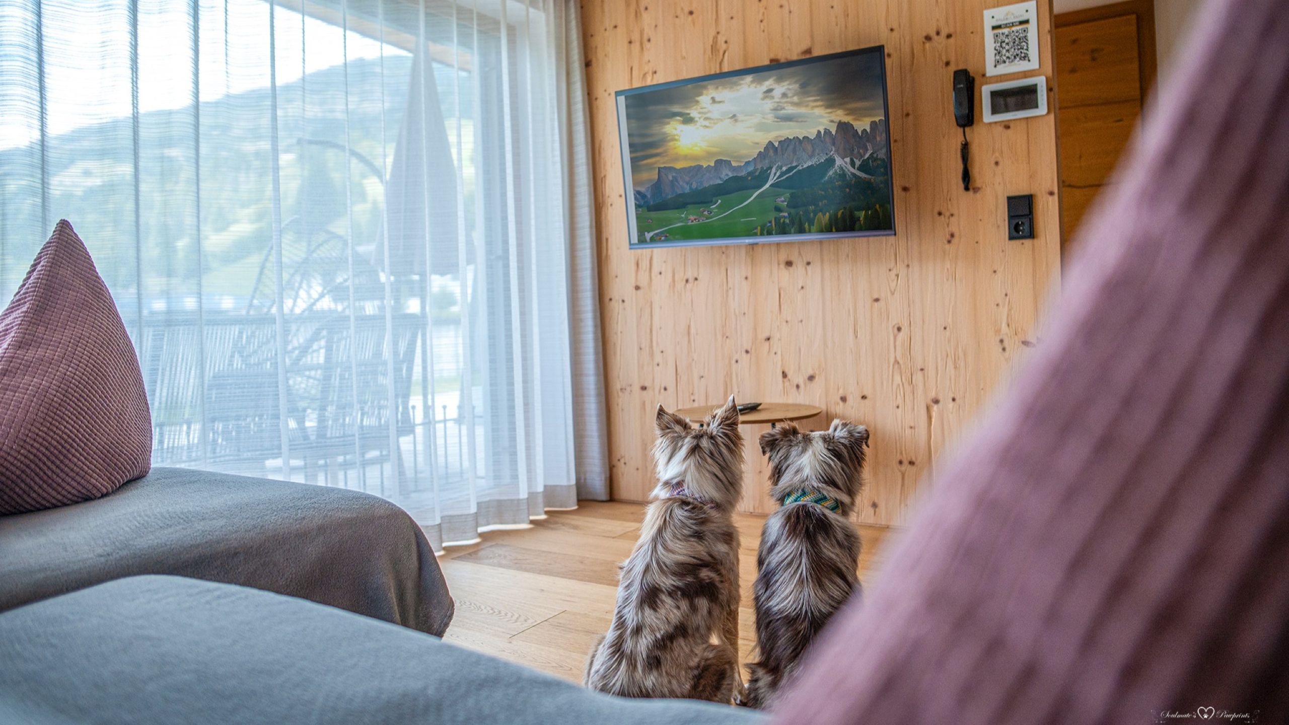 Zwei Hunde sitzen im modernen Apartment des Dolomit Royal in Osttirol und blicken auf den Fernseher mit Alpenpanorama – haustierfreundliche Ferienwohnung mit Bergblick.